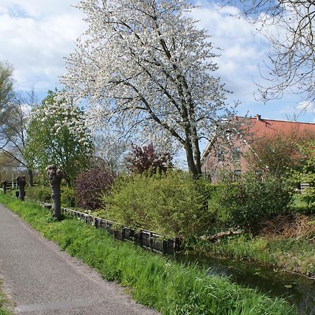 Gastenverblijf De Natureluur Noorden 外观 照片