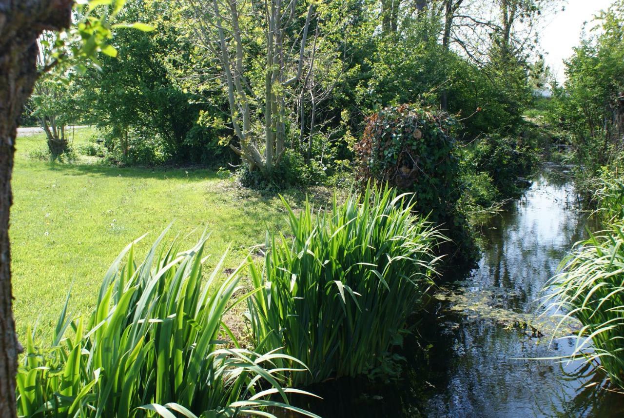 Gastenverblijf De Natureluur Noorden 外观 照片