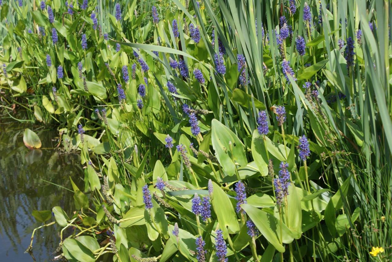 Gastenverblijf De Natureluur Noorden 外观 照片
